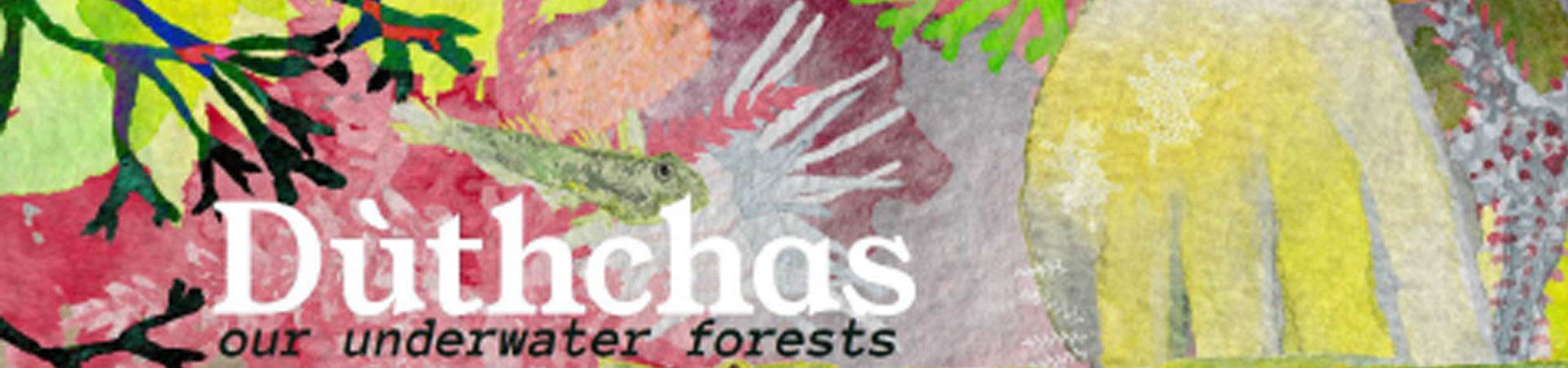 Image from Viola Madau's animated documentary about underwater forests