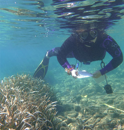 Research student Lottie Holland conducting an ecological survey by SCUBA diving