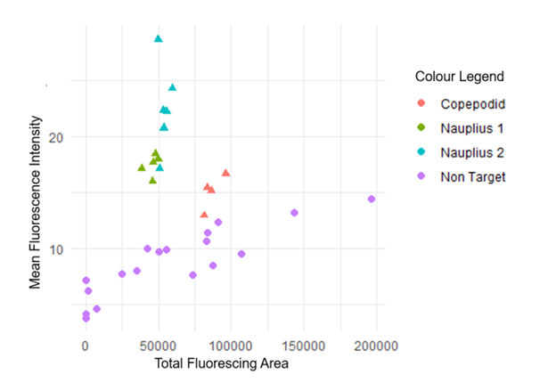 puling in a line of seaweed during a seaweed harvest
