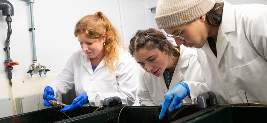 Students celebrating their graduation