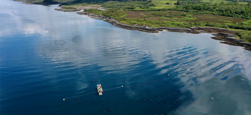 Aerial photo of a seaweed farm in a coastal environment