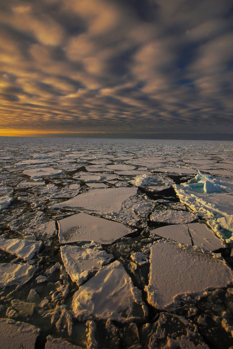 callum whyte ice