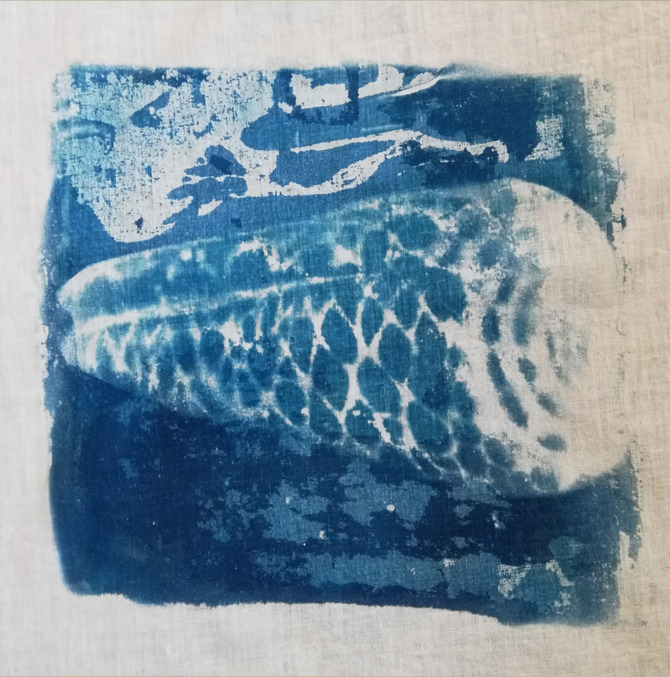 cyanotype 1