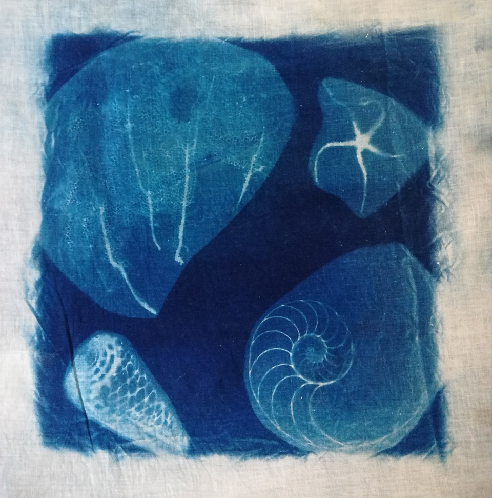 cyanotype 2