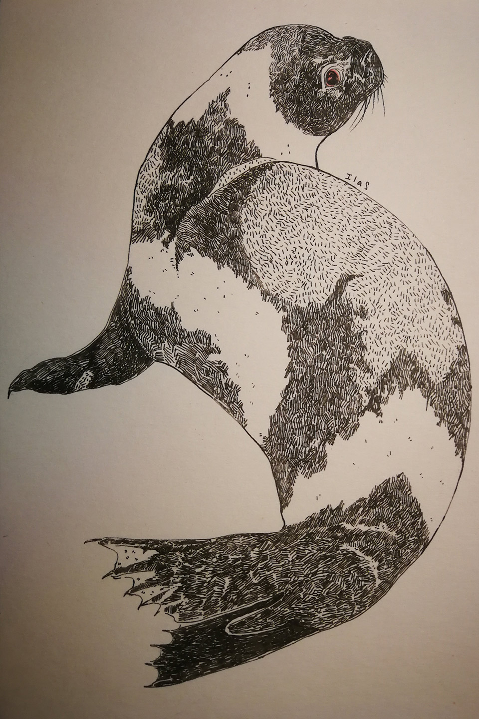 seal