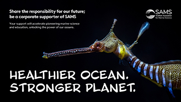 SAMS Corporate Support Guide