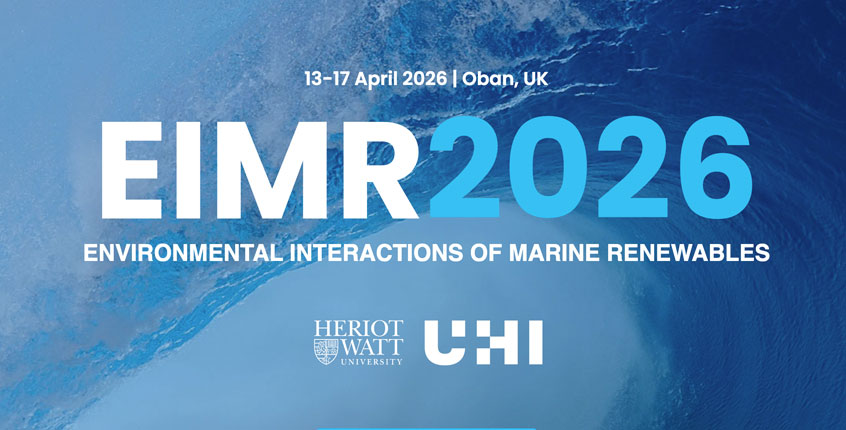 Environmental Interactions of Marine Renewables