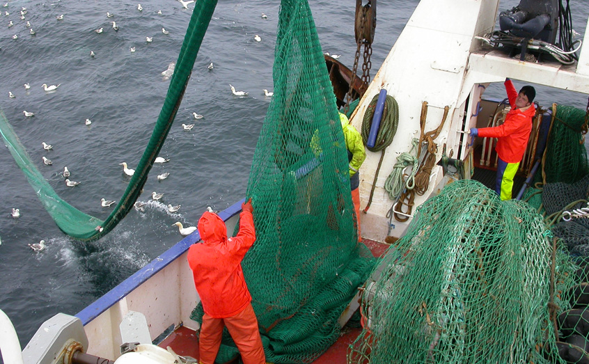 Fisherman bring in a haul off Bressay Sound, Shetland Isles. Photo: UHI Shetland