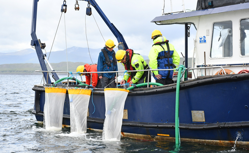 SAMS scientists conduct experiments on board the institute’s research vessel Seol Mara to attempt to measure the depths at which sea lice can be detected.
