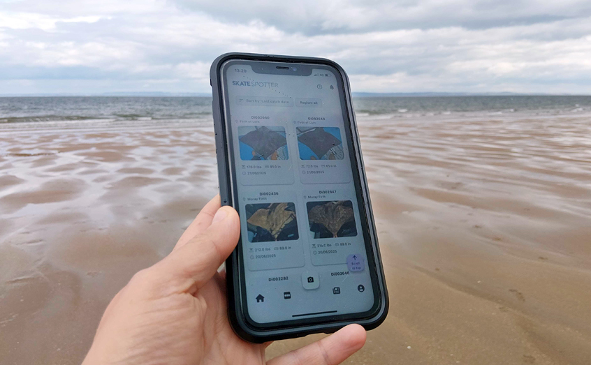 The free app is helping to build a better picture of how critically endangered flapper skates are faring around Scotland’s coasts