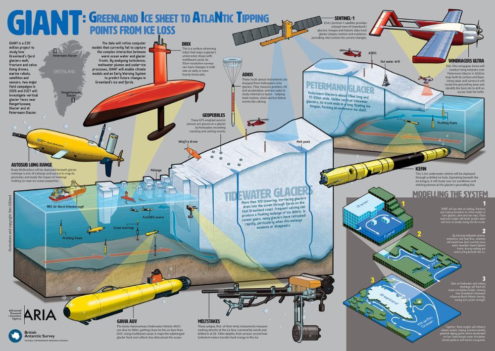 Smaller version of GIANT infographic Smaller version of GIANT infographic