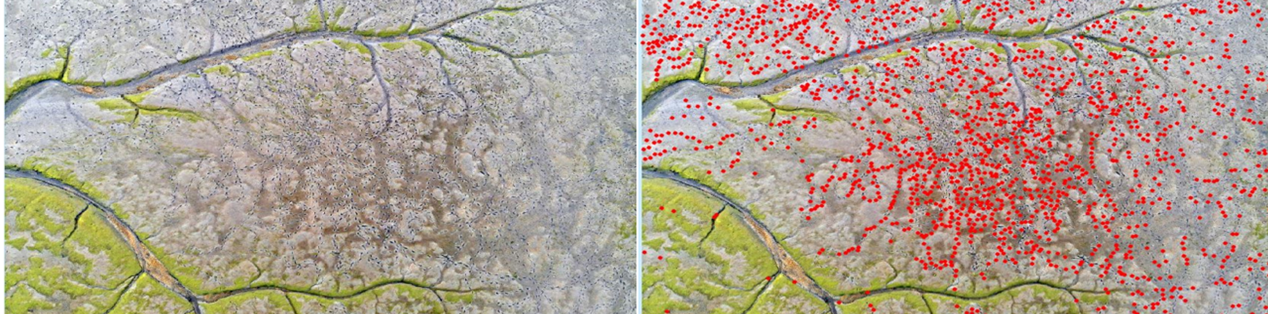 IFCA_Drone. Credit Niall Burnside