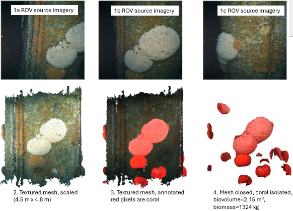 NS3D - exemplar pipeline: multiple ROV images of same target NS3D - exemplar pipeline: multiple ROV images of same target