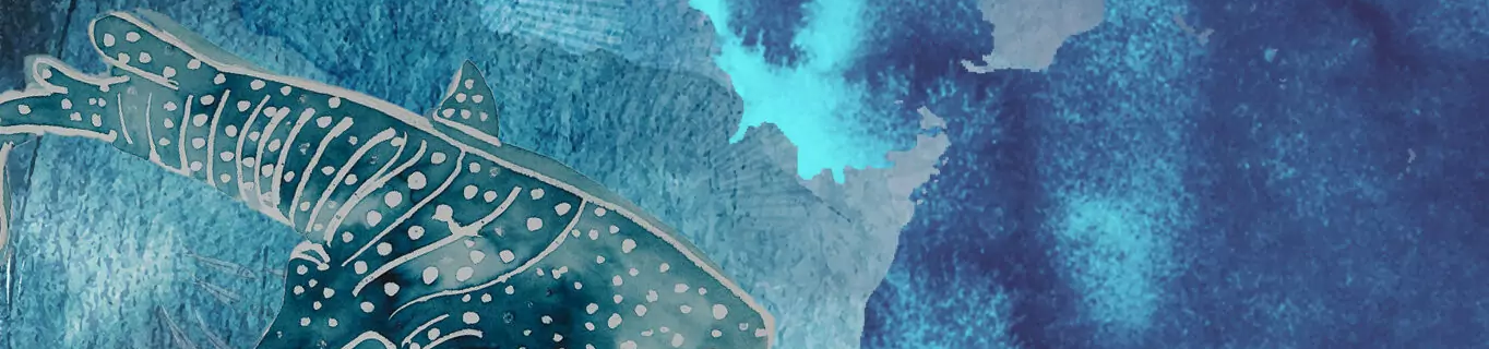 One Ocean Hub Water colour